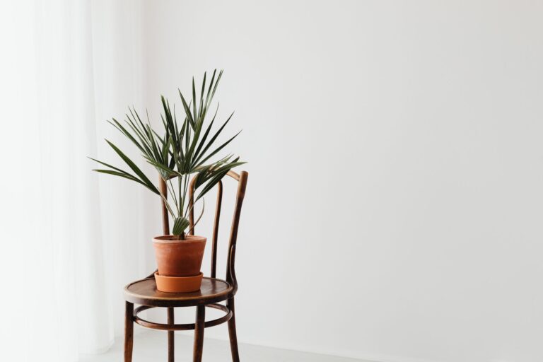 51 minimalist living tips that lead to a simple life - thedreamfiles