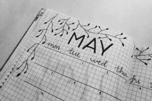 Bullet journal: digital apps, monthly spreads, habit tracker layouts.